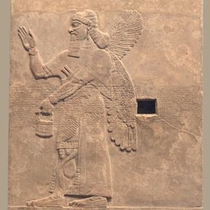 Meet your Posher, JOLUX11